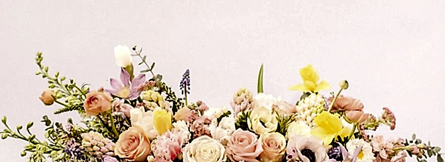 banner-img